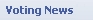 Voting&nbsp;News