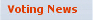 Voting&nbsp;News