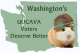 WA UOCAVA voters deserve better