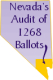 Nevada's audit